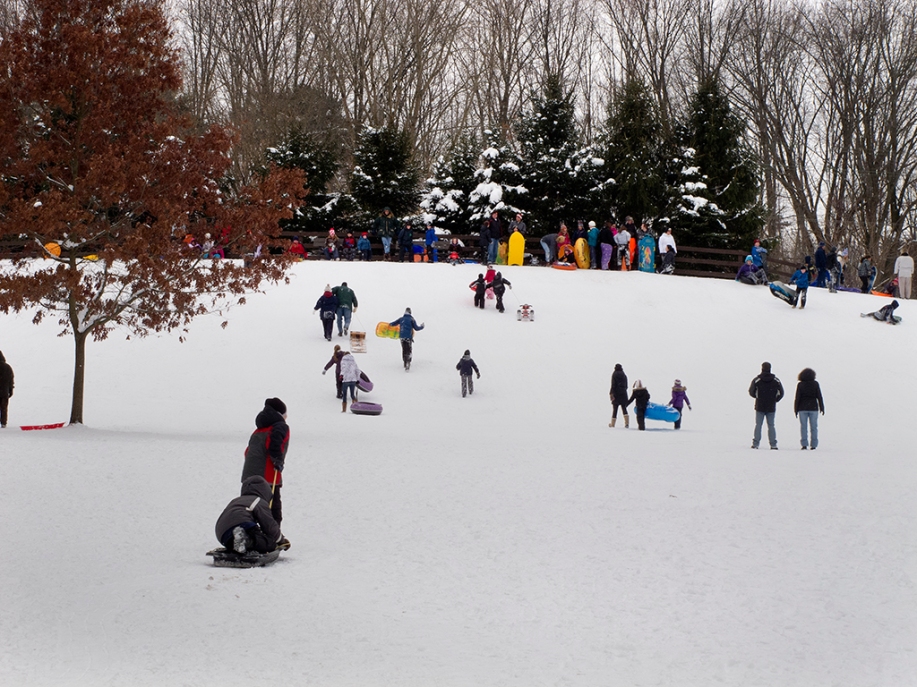 Photo: Sledders on a snowy hill. Photo by James Guilford.