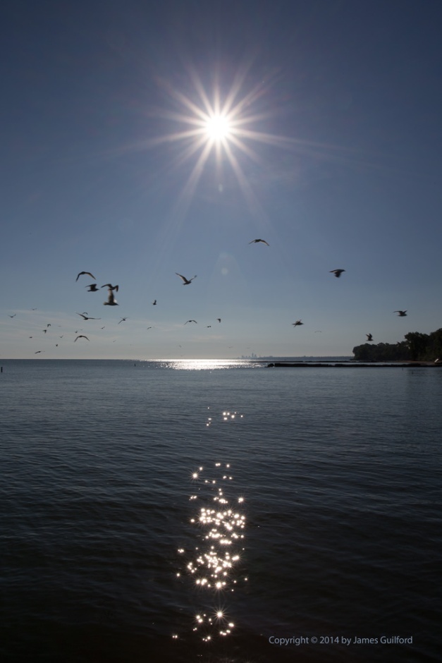 Photo: Sunburst over Lake Erie with Gulls in Flight.
