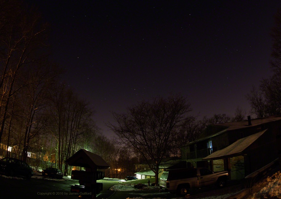Photo: Orion and Pleiades in the Trees while Others Float Above. Photo by James Guilford.