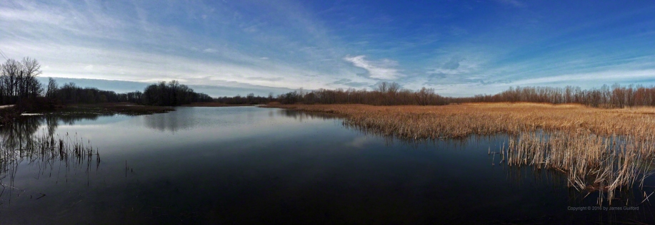 Photo: Sheldon Marsh - Wetland Panorama. Photo by James Guilford.